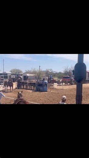 Pretty awesome work Zorro! Zorro has been working hard with his horse ‘Sandycheeks’ and it’s paying off. He entered his first jackpot and came back 2 times in the short round 👏👏👏 thanks to Robertson Roping Ranch for these great ropings! #ropewithcesar #teamroping #rodeo #heeling #heelshots #ropingschool #ropingclinic #cesardelacruz #roping #ropehorse #juniorrodeo #barrels #nfr #nationalfinalsrodeo #cowboys Fast Back Ropes Tolleson Mack Podcast CINCH JEANS Best Ever Pads Equinety H4 Saddles Lu