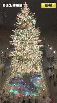 Chicago Shines Bright With Stunning Winter Wonderland Lights #shorts