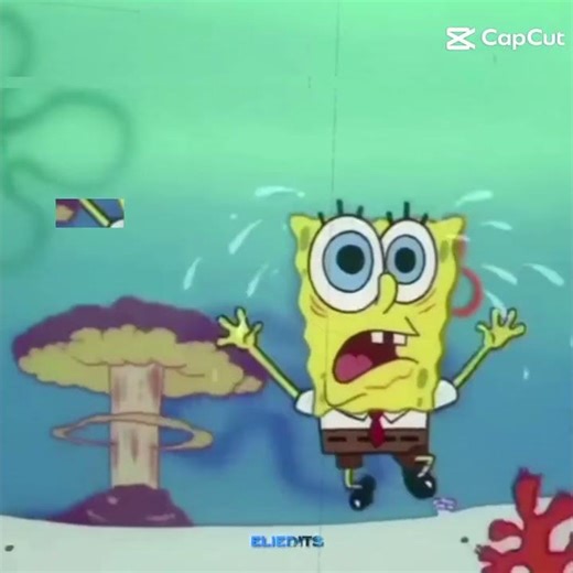 Moment before explode #spongebob #capcut