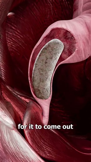 why #Chad #cup #poop #fyp