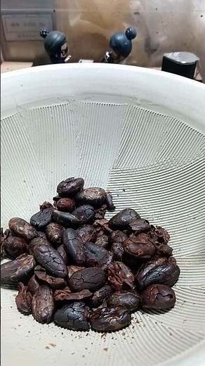 カカオ豆からチョコを作る