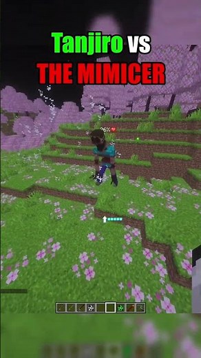 Tanjiro vs THE MIMICER