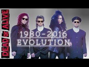 Dead or Alive Evolution | 1980-2016
