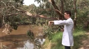 By request from some of you, I'm posting my original MDBA video from 2011 onto Facebook (It's previously only been on YouTube.) The criticisms I level at the MDBA in this video are still valid to this day, and the predictions I made have all come true. This video proves that I (and MANY others) saw the disaster looming if the MDBA followed through on their plan, and we tried to warn them but they REFUSED to listen. This video is why this issue boils my blood. It was OBVIOUS that the plan was goi