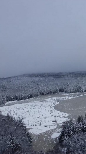 Winter Serenity: Snow-Covered Landscape Beauty