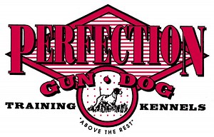 Order DVDs | Perfection Kennel