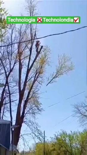 day day by technologia🌐 Technologia – The Future of #trending #viralshort