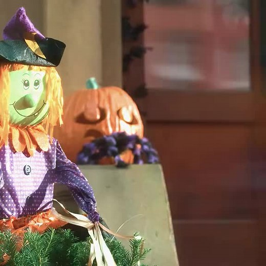 Wonder: A Heartwarming Journey in Part 1