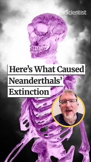 Neanderthal Extinction: DNA Reveals 40,000-Year-Old Climate Struggle