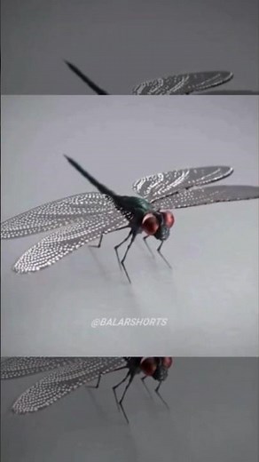 Mathematics in Dragonfly Wings: Nature’s Perfect Pattern #shorts