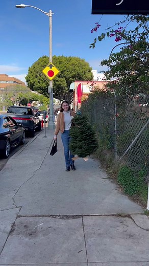 DIY Ornaments from the Garden | Christmas Decoration Ideas