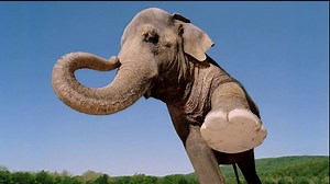 Century 21 Insurance TV Spot, 'What Are 21 Century Agents Made Of?'