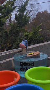 6K reactions · 115 shares | day(i forgot): on this very day in crow history the cup-staccalater-200 makes its first appearance @ the milk house… but can tugboat n forklift pull off another victor? or will the cups leave them stumped ‍‍⬛✨ ok bye!!! milk #crow #crows #corvid #birds | Milk House | Facebook