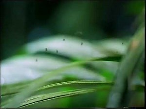 Xbox (Microsoft, 2002) UK TV ad