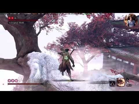Corrupted Monk Round 2 #sekiro #linuxgaming
