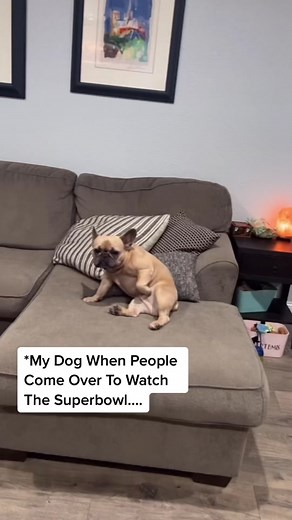 Distraction with Teef on Superbowl Sunday