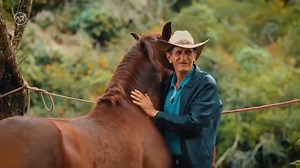 35K views · 802 reactions | La Historia de los caballos en Vilcabamba. #caballos #campo #naturaleza #history | NancyG | Facebook