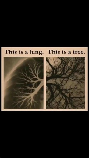 Secret Patterns in Plain Sight | Coincidence or Design?