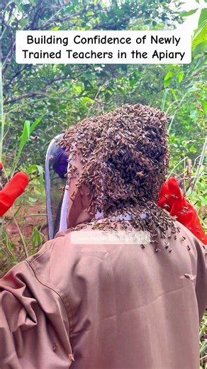 Building Confidence for New Beekeeping Teachers in the Apiary