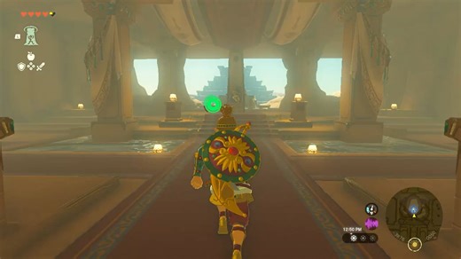 Link X Riju for life