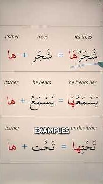 Learn this Arabic grammar rule! #learnarabic #arabicgrammar