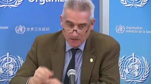 WHO: We must use Dengue fever as a reference point for Zika virus