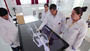 ¡Ya estamos en semana de matrículas! ➡️Primer semestre del año 2023-1  Incluye reincorporaciones. Para reincorporarte solo debes ingresar tu solicitud por el ERP. Atención y consultas aquí: Teléfonos: 01 730 6777 / 01 707 5788, luego colocar el ID de reunión : 895 9610 1630## ó por enlace a reunión : https://us02web.zoom.us/j/89596101630 | Sin Censura Noticias Peru | Facebook