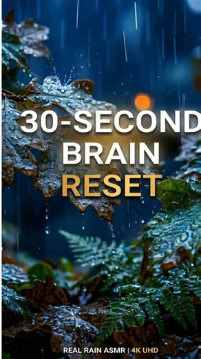 30 Second Brain Reset Rain and Fireplace #asmr #sleep