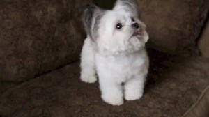 806K views · 13K shares | enjoying a cold norbeverage | Norbert | Facebook