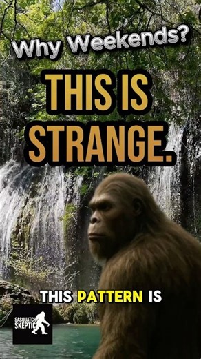 Why Bigfoot Sightings Spike on Weekends