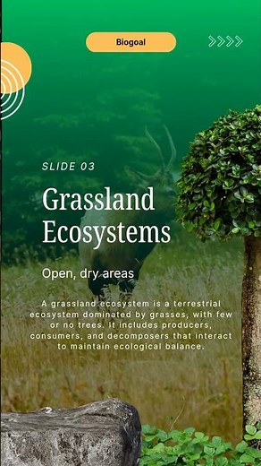 Five Major Ecosystems Explained 🌱🌊🏜️❄️ #biologyshorts #scienceshorts #studywithme #youtubeshort