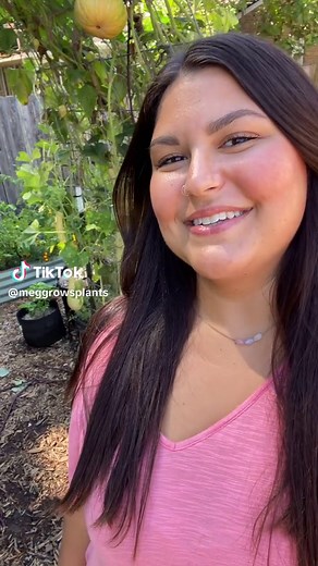 Cantaloupe supremacy! I’m so glad I focused on growing more cantaloupe this year instead of watermelon. Cantaloupes are sweet and ripe every time! And they’re so amazing in this simple, light, refreshing melon salad. All you do to make it is cube up your favorite melon (you can use watermelon instead if you went the more difficult route and grew watermelon 😜), chop up some cherry tomatoes, thinly slice some red onion, drizzle with olive oil, crumble some feta cheese, and top with some ribboned 