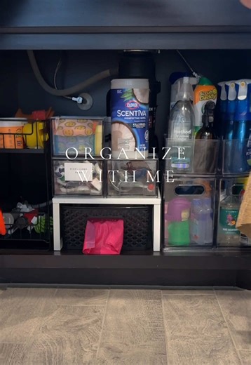 Organizing Under the Kitchen Sink: Tips and Tricks
