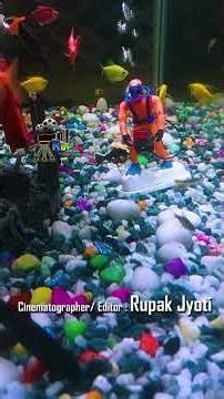 The TOP 3 Fish Dance Secrets That Will CHANGE Your Life