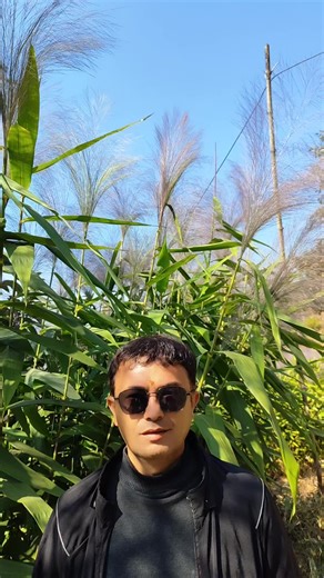 Bhimsen Sadaula (@sir.bhimsen)’s videos with original sound - Bhimsen Sadaula