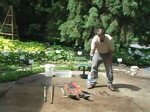 Digging and Dividing Hostas. Part 1: Garden Tools