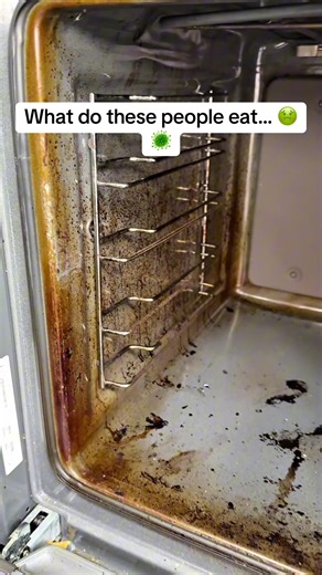 Spring Cleaning with a Steam Cleaner: Quick and Effective