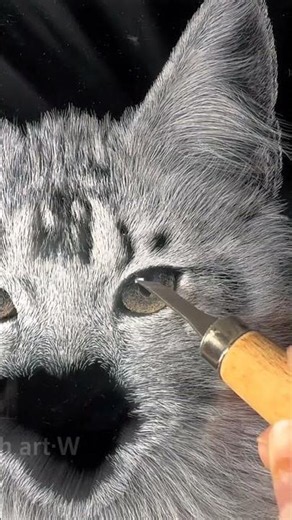 Amazing Cat Scratch Art Reveal 😱🐱 #shorts #scratchart