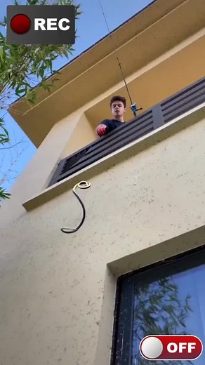 #Prank #TikTok #Instagram