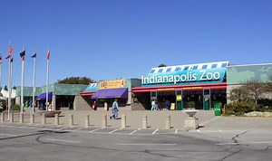 Indianapolis Zoo: Ideal Time to Go   32 Amazing Animals to See