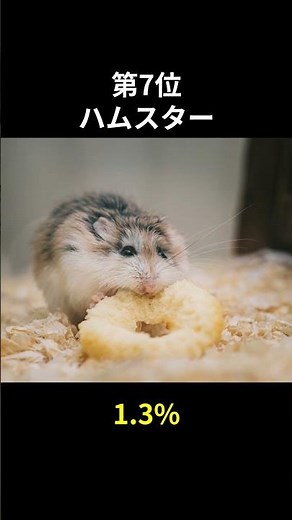 【学校で飼われている動物(生き物)ランキングTOP10】#動物雑学 #動物 #学校 #shorts