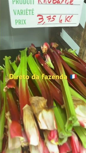Na França compramos legumes e frutas direto da fazenda 🇫🇷 #jackyelaurent