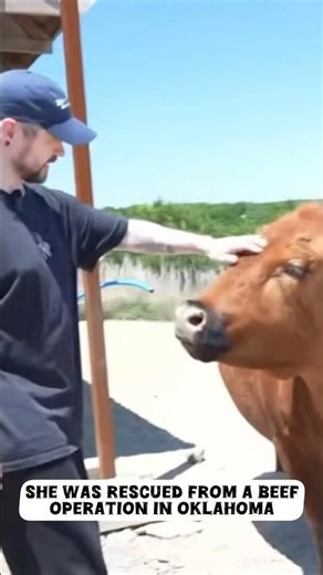 Jacksepticeye MEETS Winnie The Moo #jacksepticeye #alveussanctuary #mayahiga #minnie