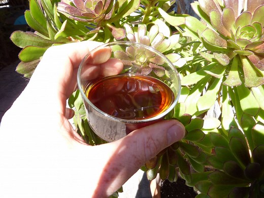 Receta de café V60 para conseguir un café dulce y afrutado en casa.