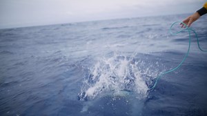 "It feels like every time that we deploy a camera to the bottom of the ocean, you never know what to expect," shares marine ecologist and National Geographic Explorer Whitney Goodell. "No matter who I am sharing the footage with, everybody is excited about seeing something that they've never seen before, particularly with the deep sea. It gives people a sense of the power of life down at the bottom of the ocean." | National Geographic Pristine Seas