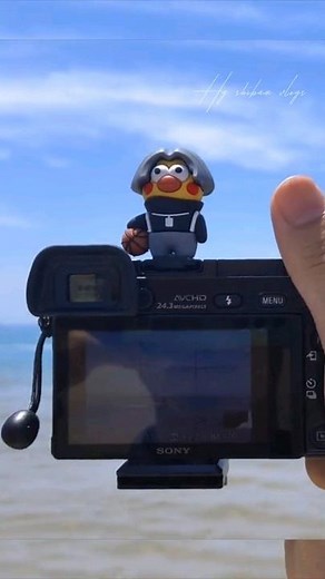 Sony Alpha 6000 Camera & Tamron A071 28-200mm f/2.8-5.6 Di III Lens amazing photography 8k