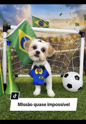 Como tosar filhote de cachorro: guia seguro para Shihtzu