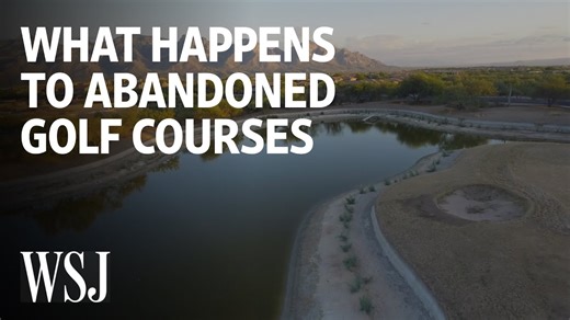 This is what happens to abandoned golf courses.