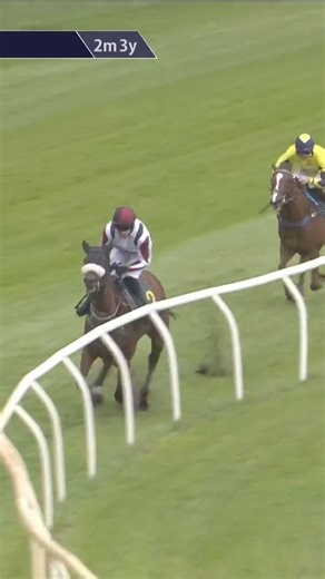 189K views · 951 reactions | Cheeky commentary!  | Racing TV | Facebook