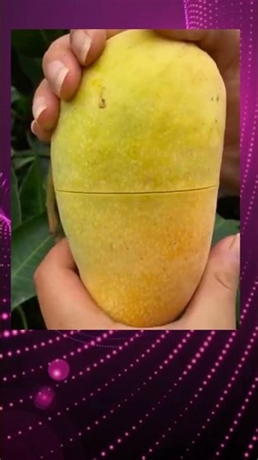 Did You Know Mangoes Open Like This? |#mango #fruittricks #lifehacks